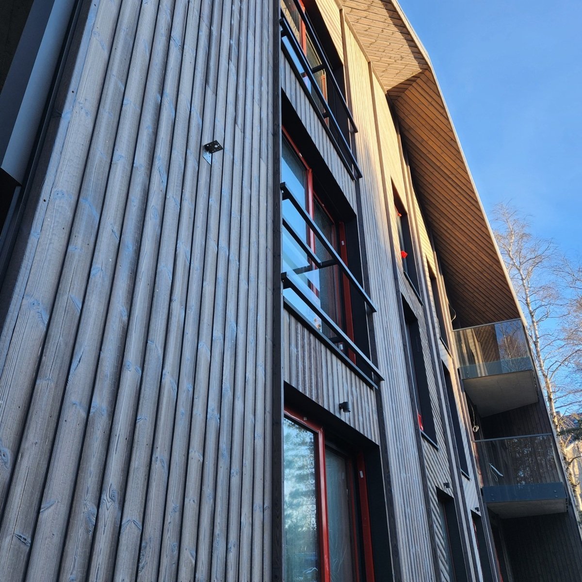 Šiaurietiškas pajūrio gyvenimas | Yakiwood projektas Šiaurietiškas pajūrio gyvenimas, Nuotrauka 6